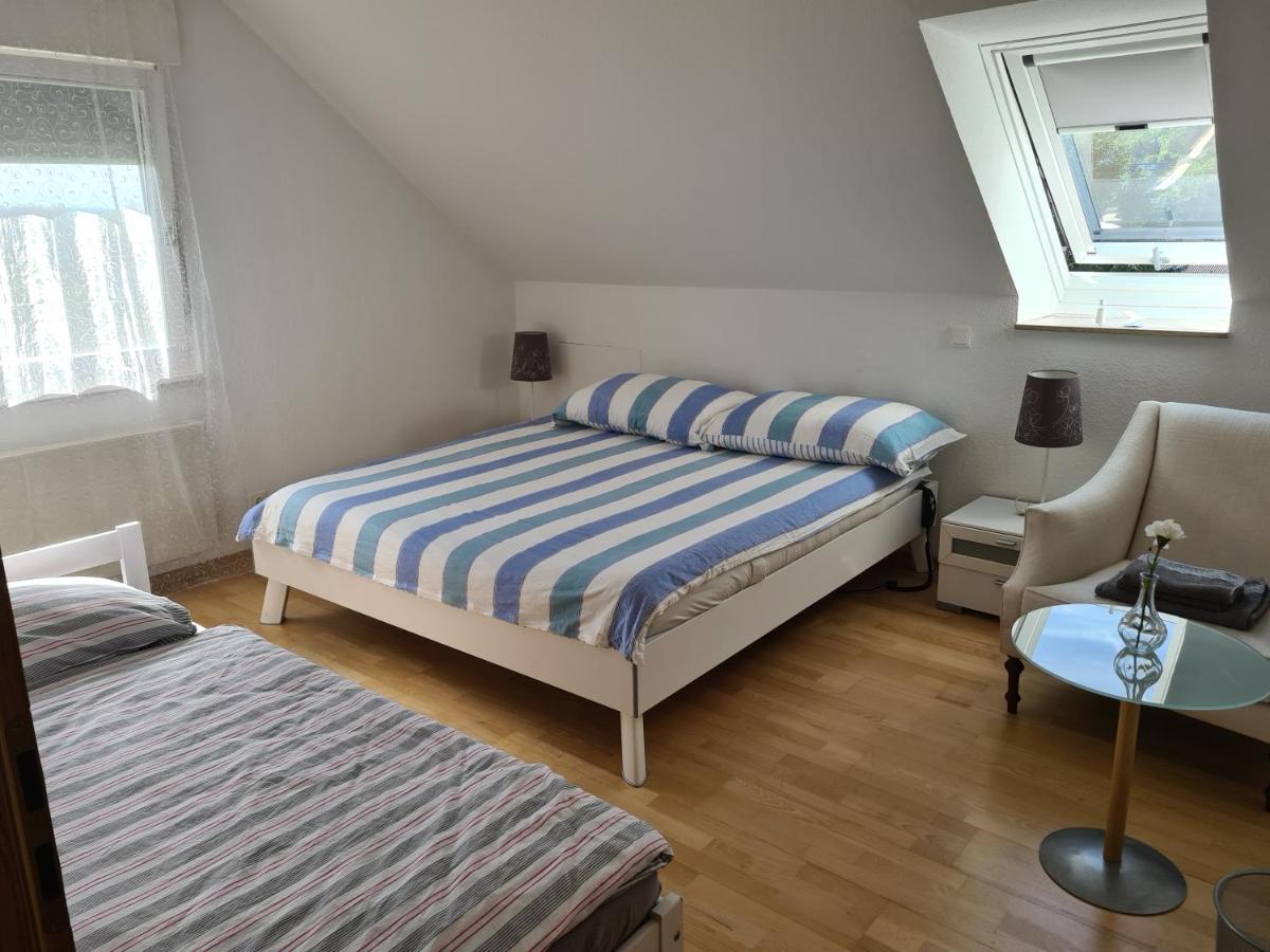 Appartement Paradiso Бюзинген-на-Верхнем-Рейне Экстерьер фото