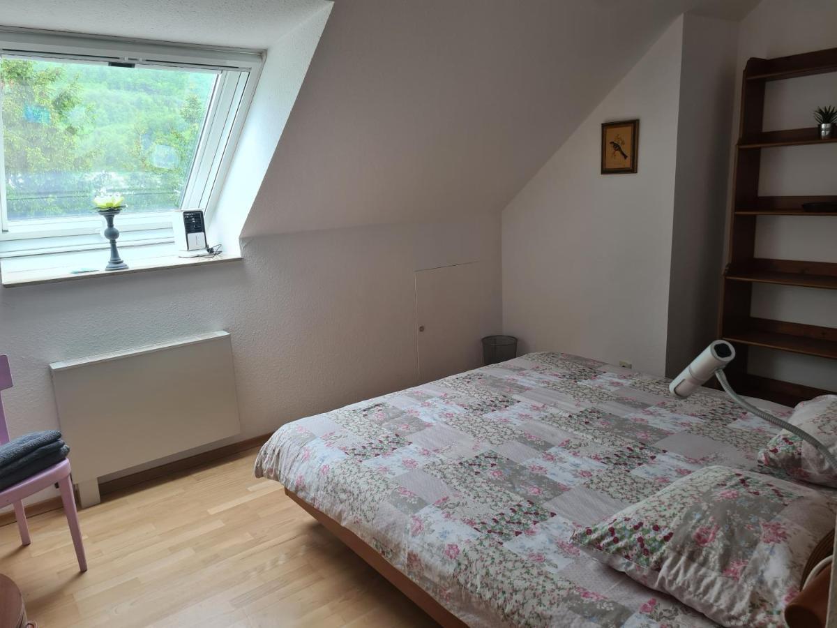 Appartement Paradiso Бюзинген-на-Верхнем-Рейне Экстерьер фото